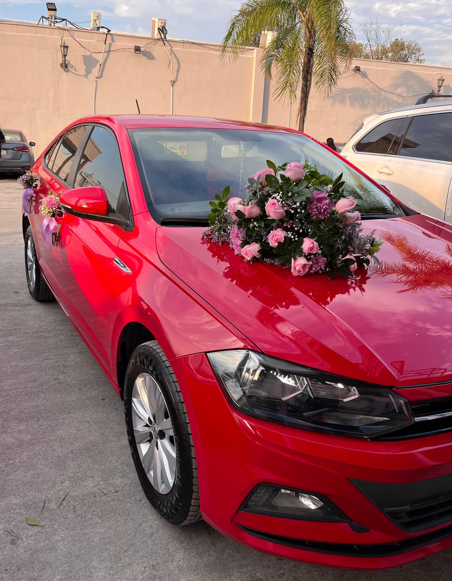 PASEO ENCANTADO - Ramo para autos