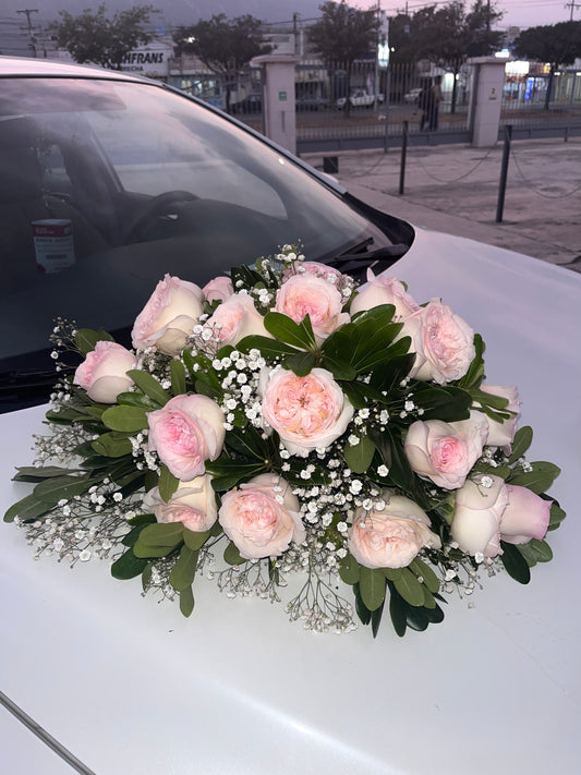 PASEO ENCANTADO - Ramo para autos